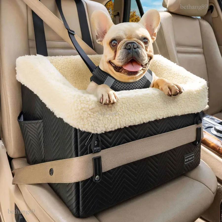 Best Dog Friendly Vehicles for Comfortable and Safe Pet Travel