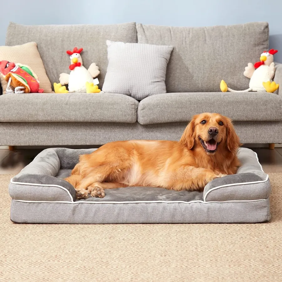 Comfortable Options for the Best Large Inside Dogs and Their Beds