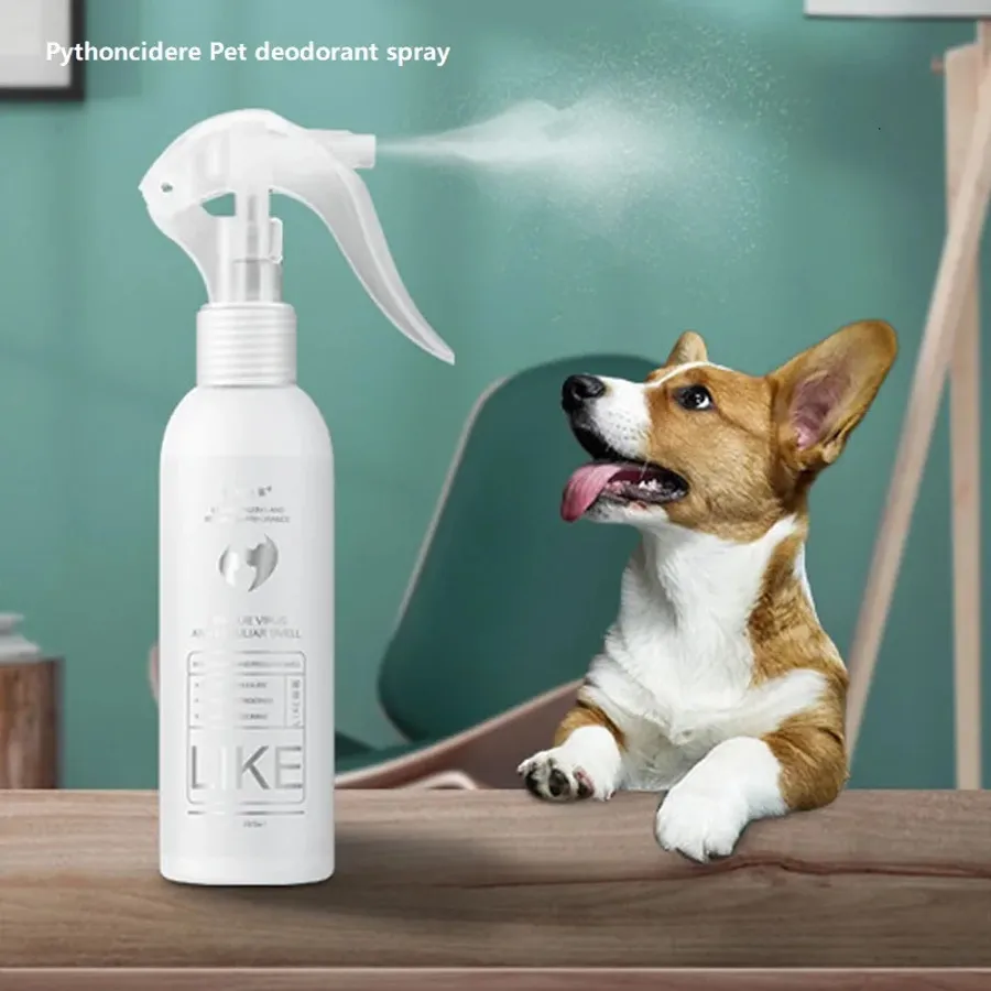 How Do You Get Dog Smell Out of a House: Proven Easy Tips