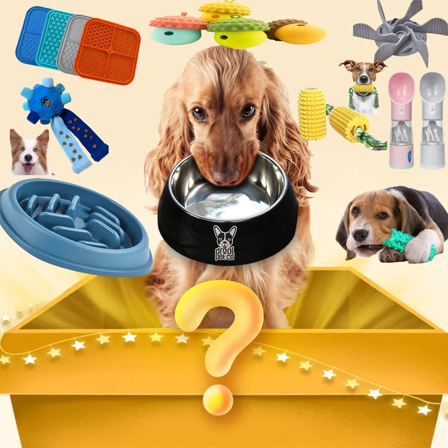 Explore Reliable Choices for the Best Big Dog Breeds Smart