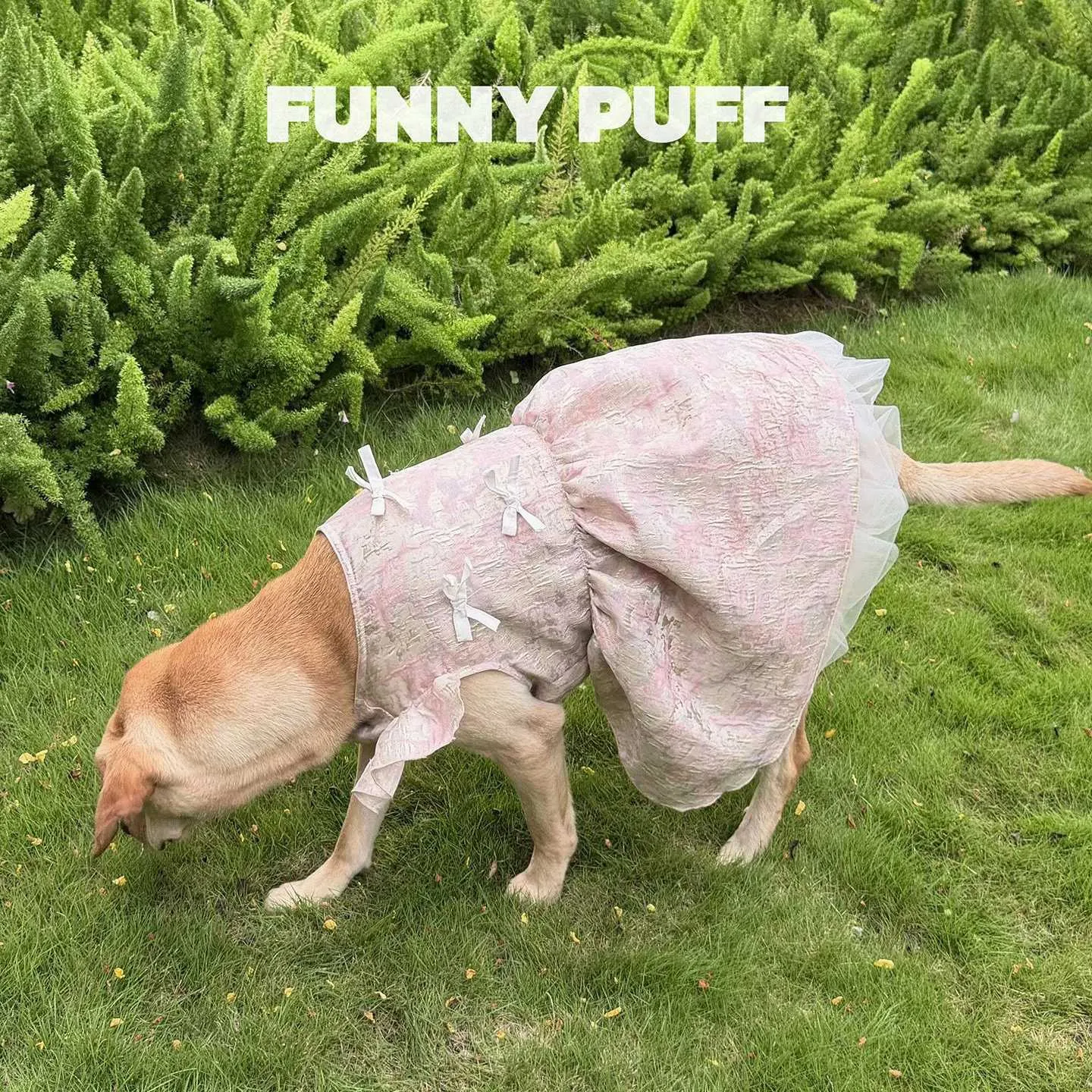 Floral Dog Wedding Dress Birthday Easter Dresses Dog... From Haven1, Rs.687.26