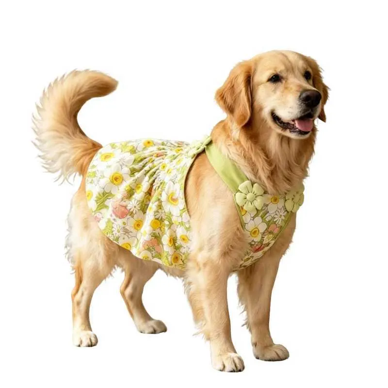 dog dress for golden retriever Summer Large Big Dog Costume Border Collie... From Haven1, Rs.689.05 category_v-neck-dresses-seo