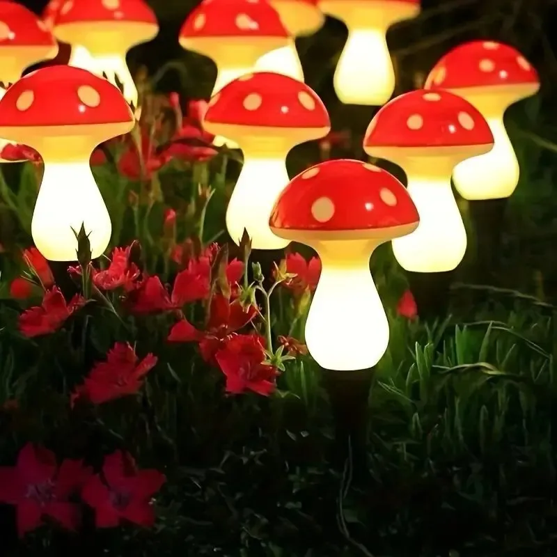 201515_6