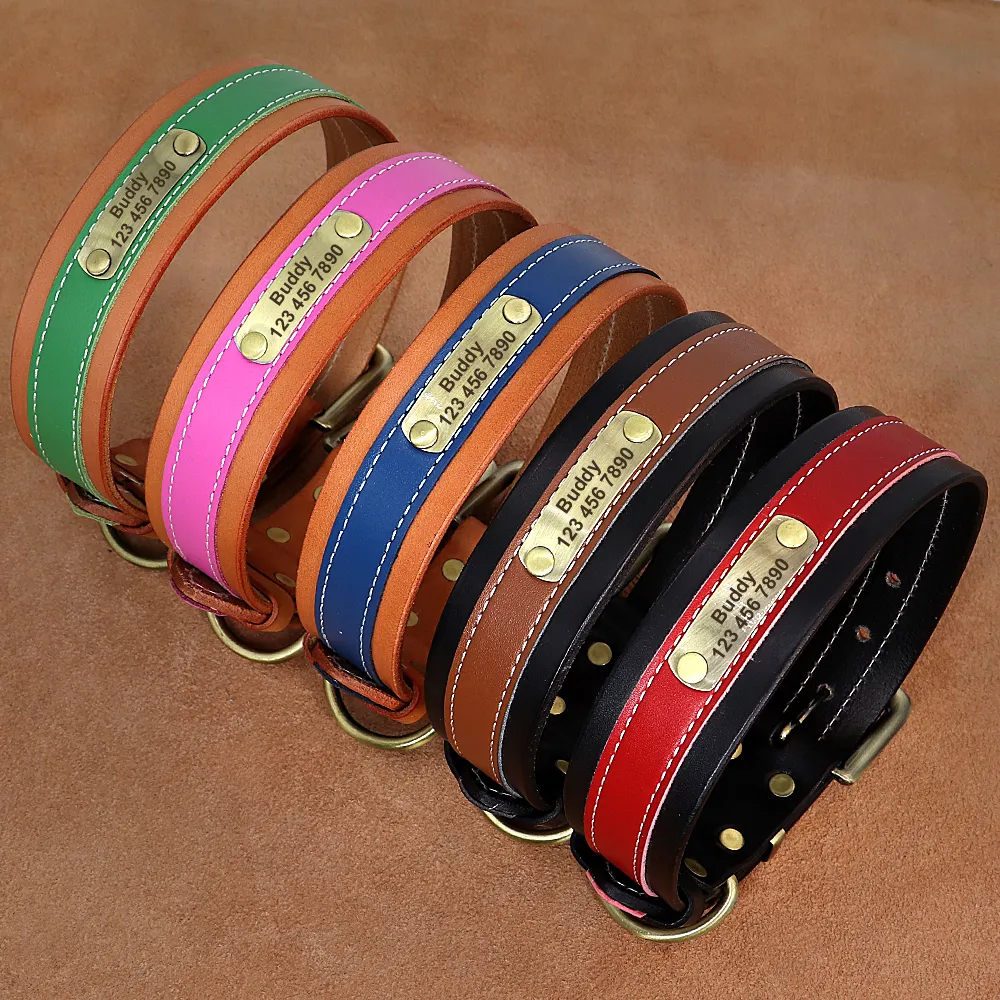 Personalized Leather Dog Collar With Name Plate Soft Padded Anti