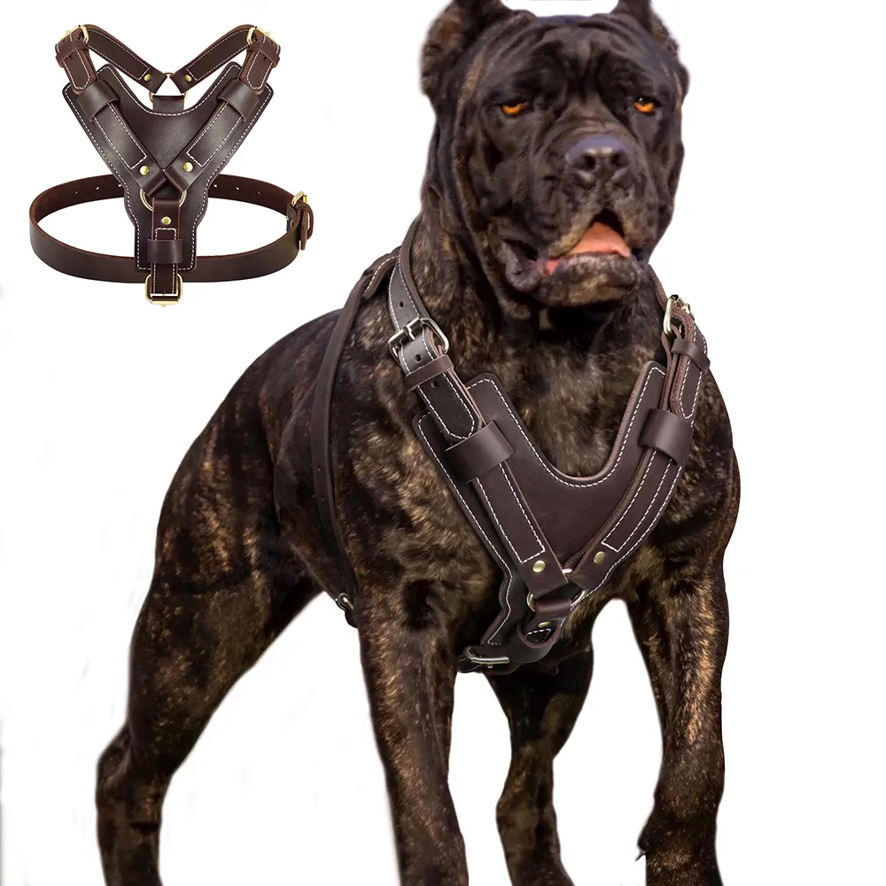 Genuine Leather Dog Harness, Adjustable Quick Control With Handle