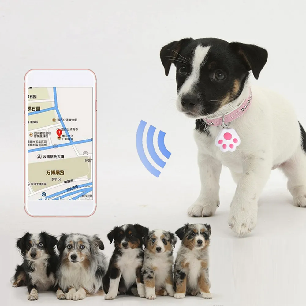 Wholesale Waterproof Mini GPS Tracker For Cat Shock Collar And Dogs Anti Lost Locator And Prevention Tool With Accessories From Dh4698076 Supplier 18.08 DHgate.Com