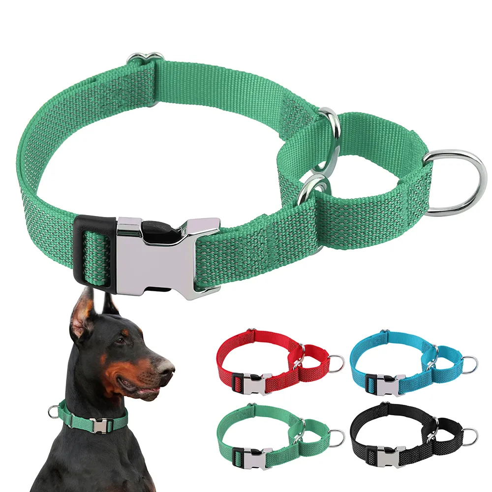 Buckle Custom Personalized Martingale Collar 2024Reflective Nylon