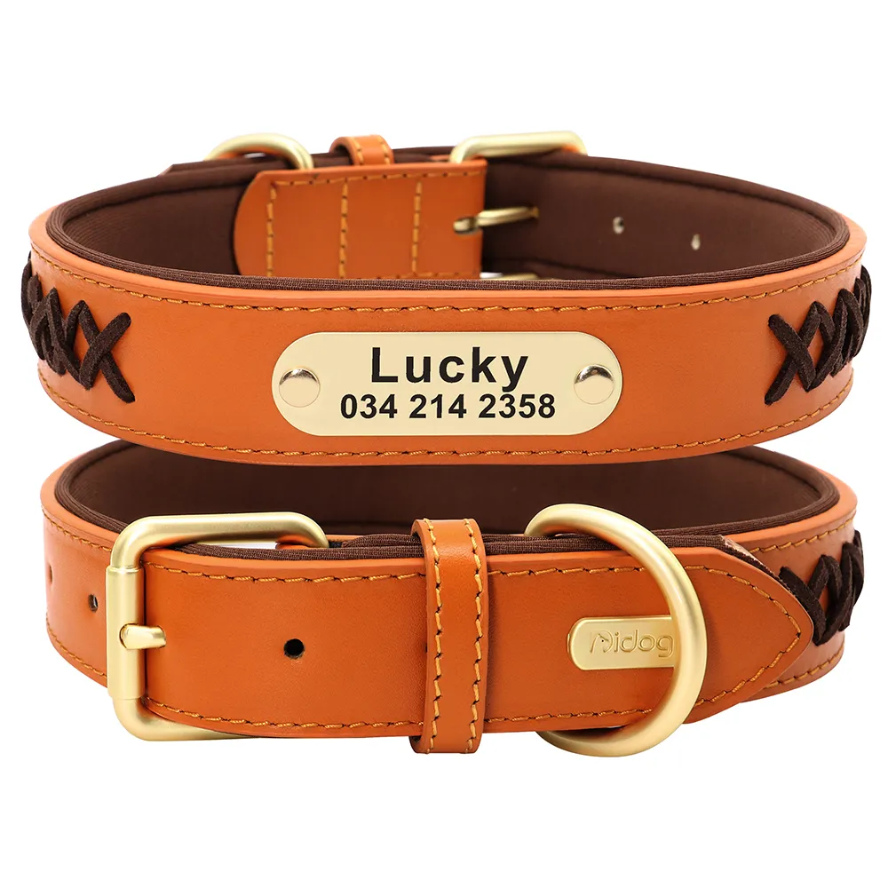 Didog Personalized Leather Dog Collars And Leashes Personalized