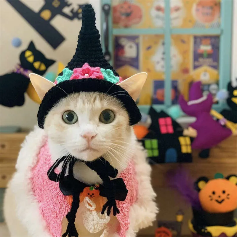 Wizard Cat Costume Hat Adjustable Knit Pet Headgear for Halloween  Christmas Shop Now!