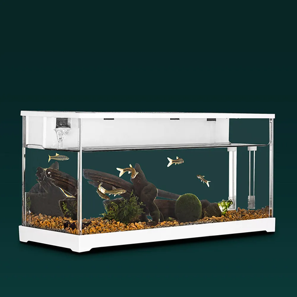 Small Transparent Acrylic Goldfish Tank With Filter Water Tank With Pump For Betta Shrimp And Aquariums From Dh3207077 57.6 DHgate.Com