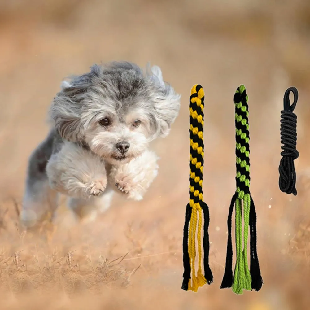 Retractable Dog Rope Toy Sturdy Pet Tether Pole For Outdoor Play Creative  Lure And Fetch Stick From Dh1100072003, $18.23 | DHgate.Com