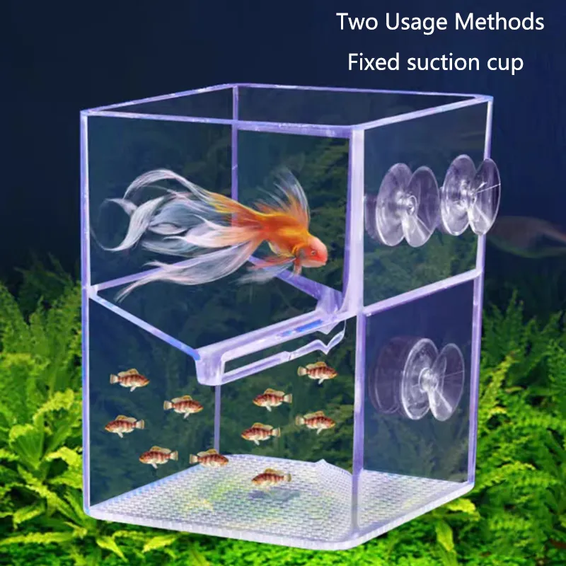 Acryl schwimmende Fischzucht Isolation Box Aquarium Züchter Feeder Aquarium Hatc