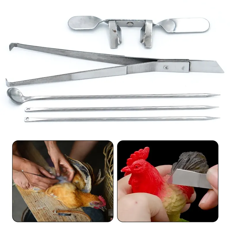 Chicken Caponizing Kit Tools Stainless Steel Caponize Instrument for ...