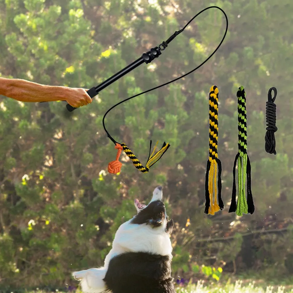 Retractable Dog Rope Toy Sturdy Pet Tether Pole For Outdoor Play Creative  Lure And Fetch Stick From Dh1100072003, $18.23 | DHgate.Com