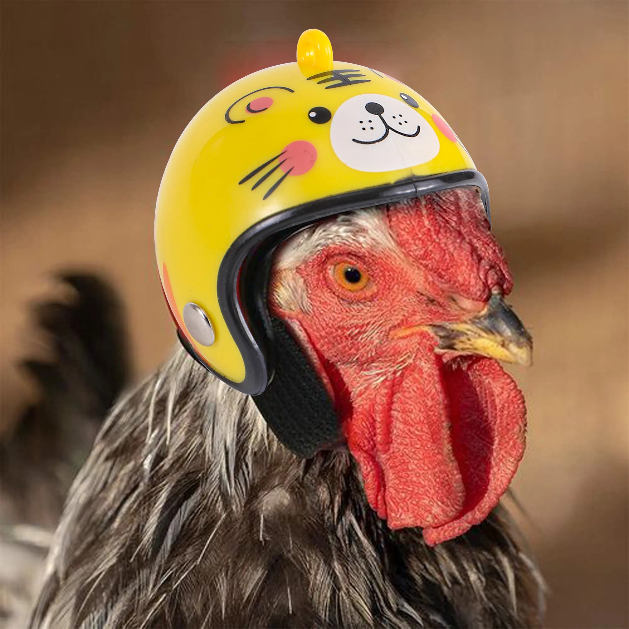 chicken football helmet KAYNO 3pcs Helmets, Funny Hen Helmet, Adjustable Elastic Band,Pet Chicken Accessories, Chicken Safety Hat Used to Prevent Chickens/Bird from Pecking Each Other and to Protect Their Heads. : Pet Bright colors and interesting patterns Chicken wearing purple football helmet
