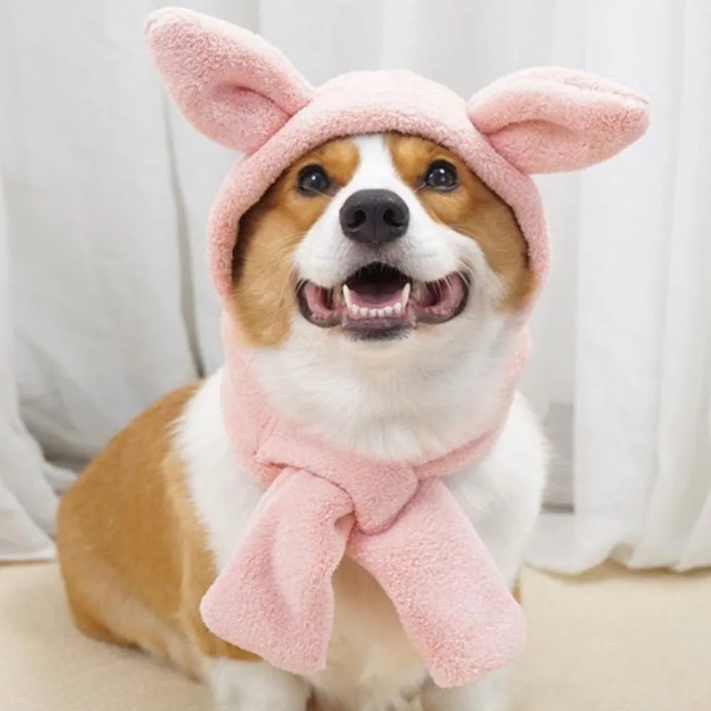 Stylish And Comfortable Winter Pet Animal Hats With Adorable Three Dimensional Ears For Ultimate Comfort Ideal For Dogs And Cats From Dh912566367 13.06 DHgate.Com