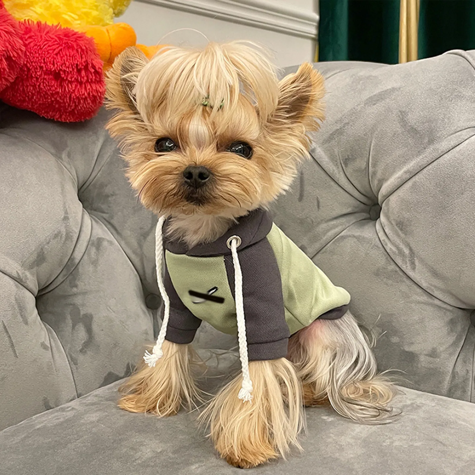 Cozy Puppy Hoodie Perfect for Small Dogs! Autumn Winter Clothes, Best  Seller!