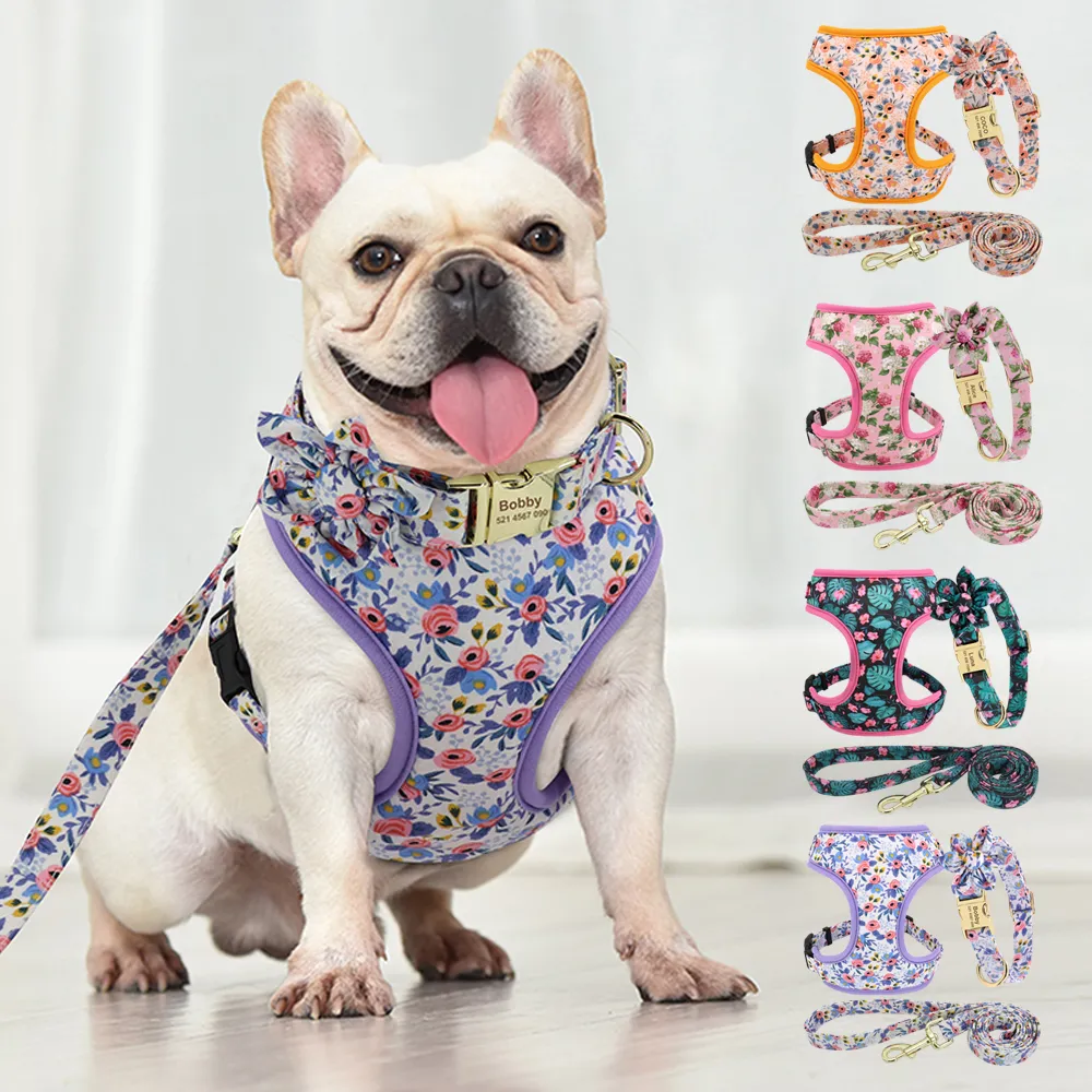 Dog Harness And Leash Set, Personalized Dog Harness: Printed