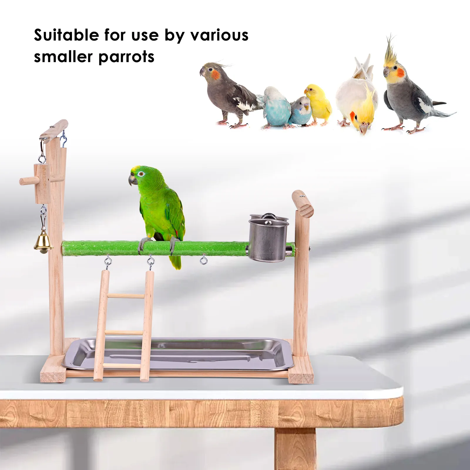 Parakeet gym hot sale