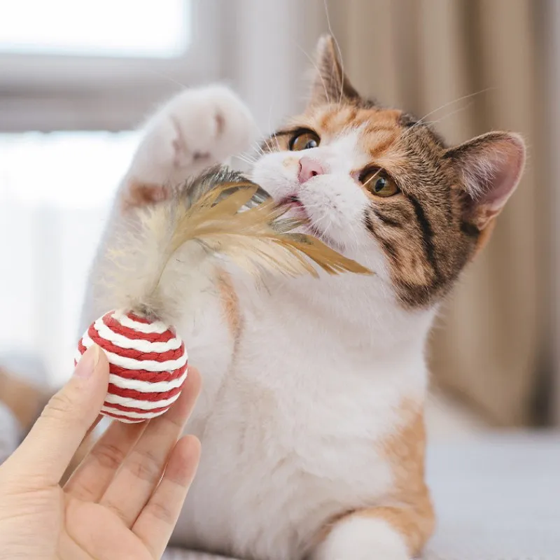 Durable cat toys sale