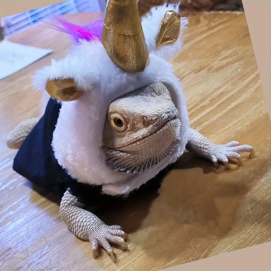 Funny Pet Costume: Lizard Chameleon Unicorn Outfit Hilarious