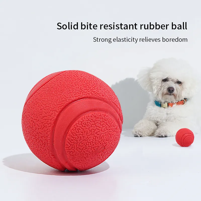 Save Big on Bulk Hard Rubber Dog Ball Dog Treat Ball: Bite Proof Dog Toys,  Natural Rubber Dog Toys Solid Red Rubber Dog Toy Ball For Puppies Small 