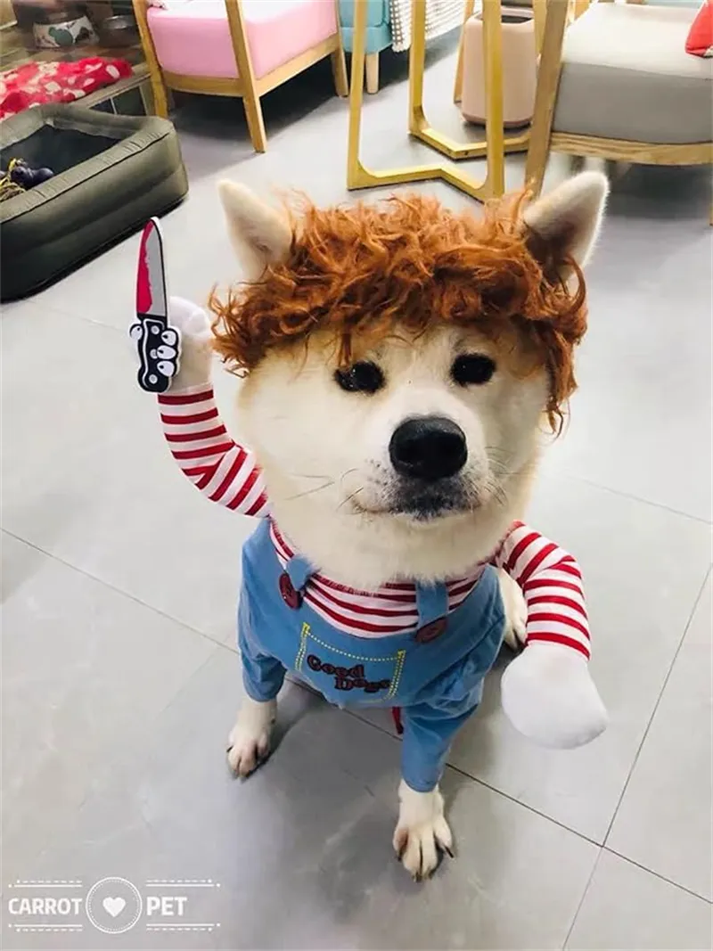 Wholesale Pet Deadly Dog Costume Cute Dog Cosplay Halloween Christmas Funny Costume Dog Clothes Party Costume For Small Medium And Large Dogs From Zzhomefashion 10.46 DHgate.Com