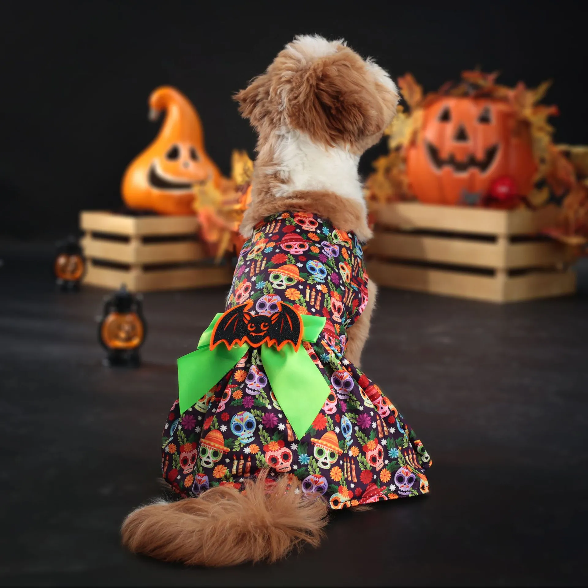 Outfits for small dogs hot sale