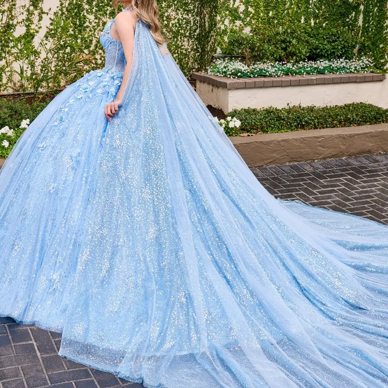 Long Sleeve Long Royal Blue Dress Light Blue Quinceanera Dress Ball Gown  Lace Appliqué Beaded Sweep