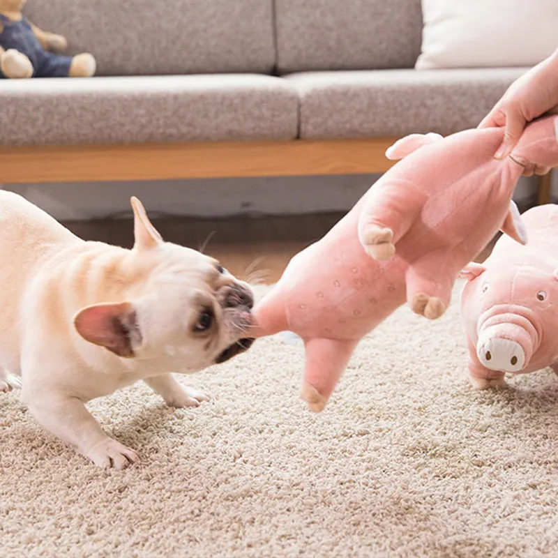 French bulldog chew toys sale