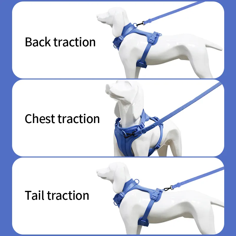 Save Big on Bulk Dog Harness Vest Medium Dog Vest Harnesses: Breathable  Mesh Pet Harness Vest With Leash Set Adjustable, Lightweight For Daily Use, 