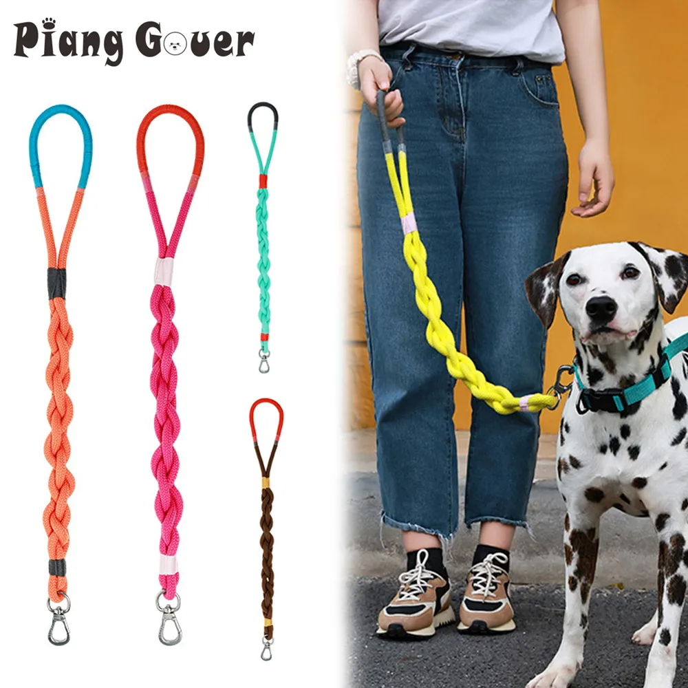 Outdoor dog leashes sale