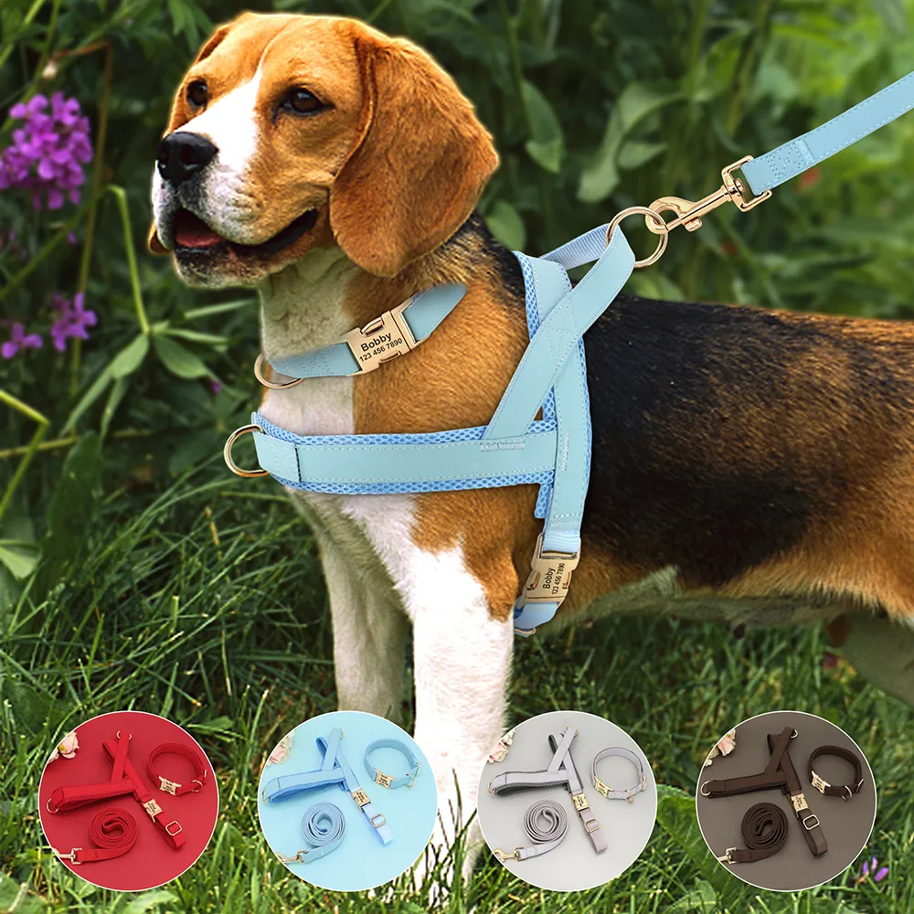 Personalized Reflective Dog Collar and Leash Set, Adjustable Nylon