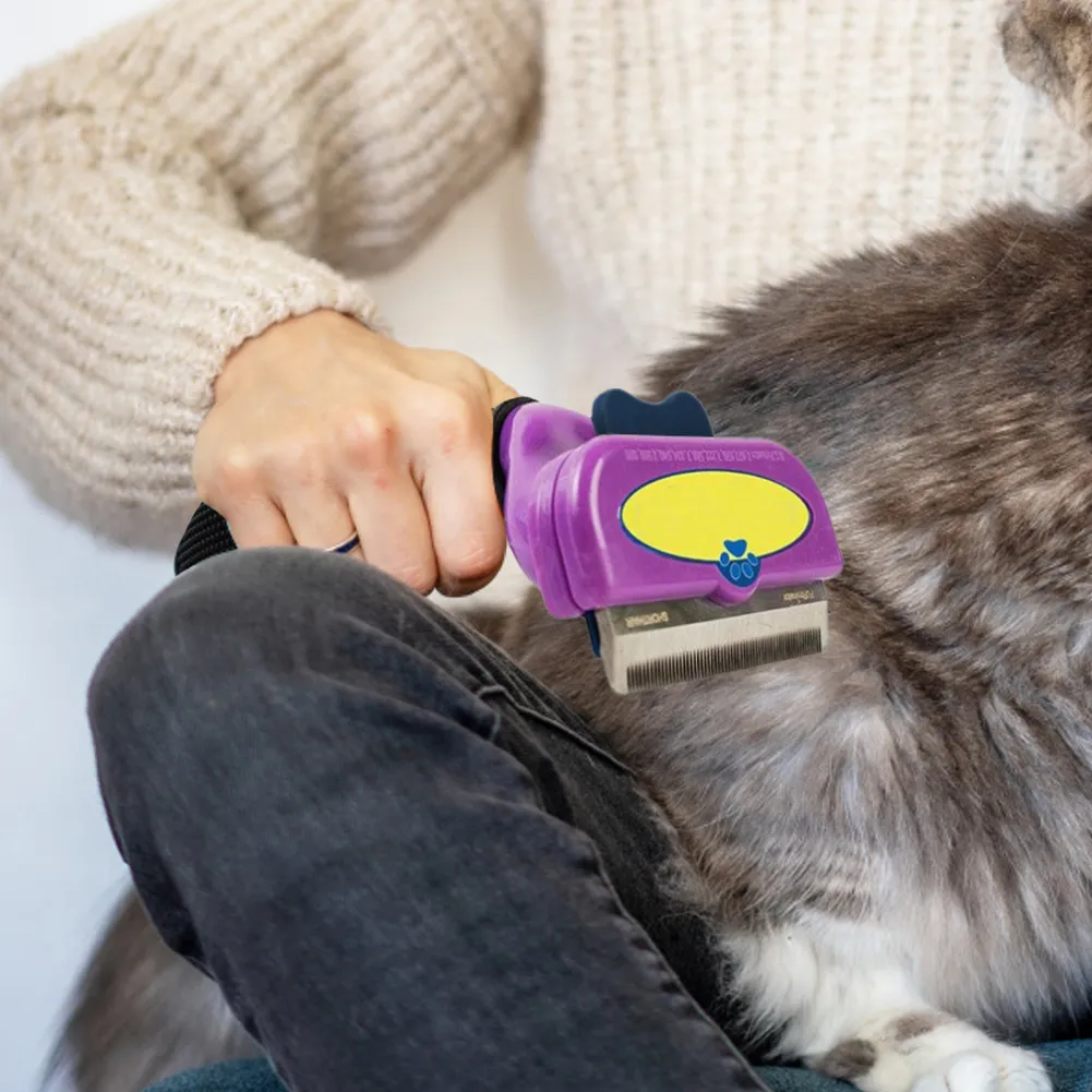 Amazon.com: 3 in 1 Pet Grooming Brush with Fine Mist Spray, Deshedding ...