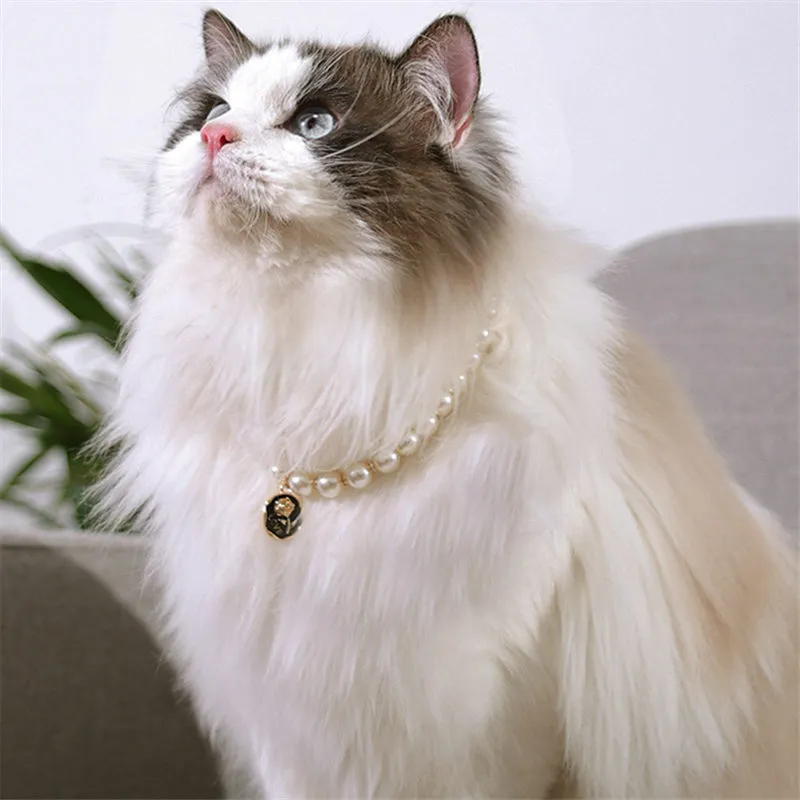 Cat Necklace For Cats Only Vintage Pearl Pet Collar Elegant