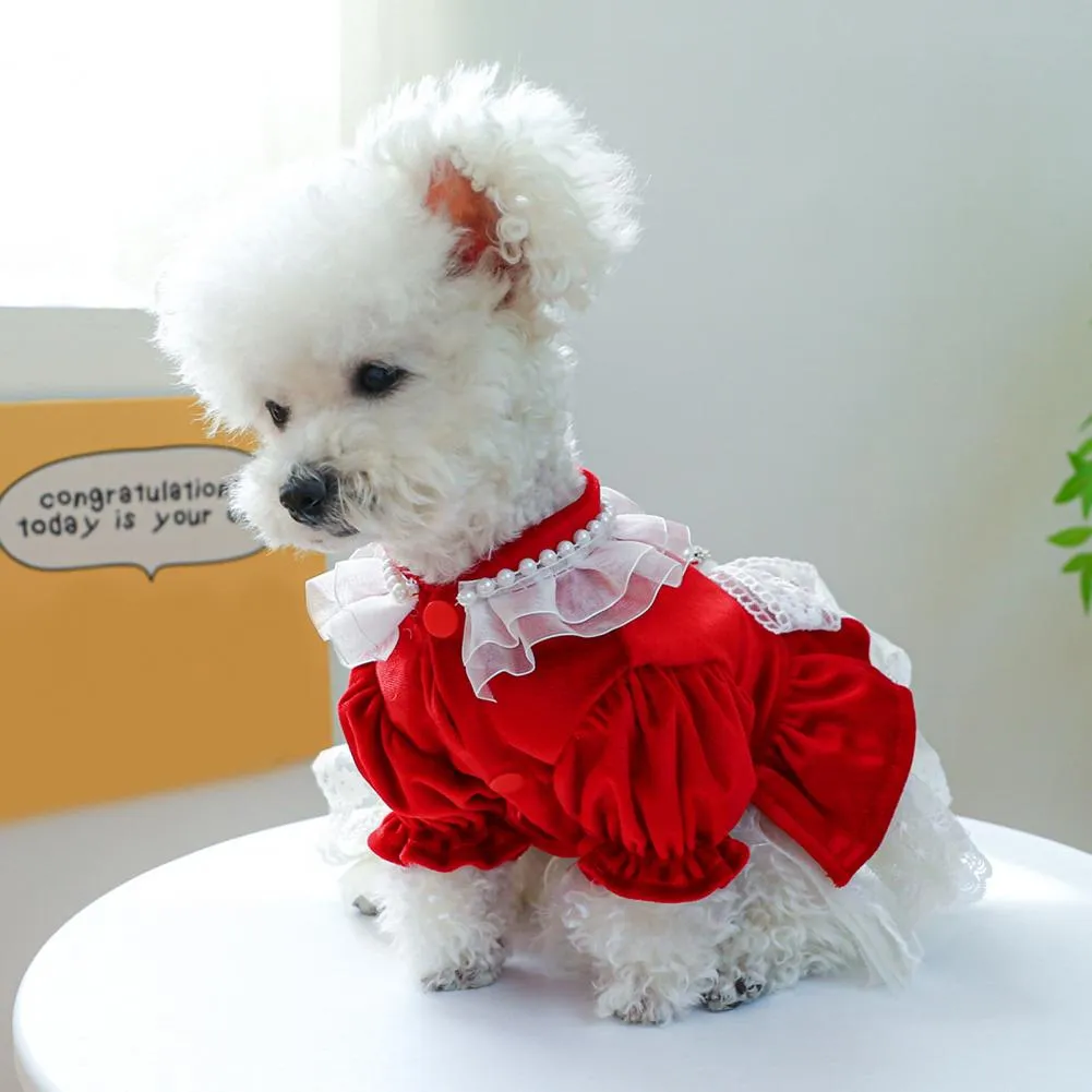 Amazon.com : Dog Dresses for Large Dogs Girl Luxury Dog