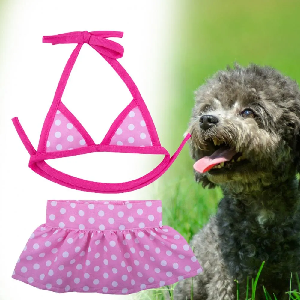 Baño Para Small Dog Swimsuit Baño Para Perros Swimsuits For Small