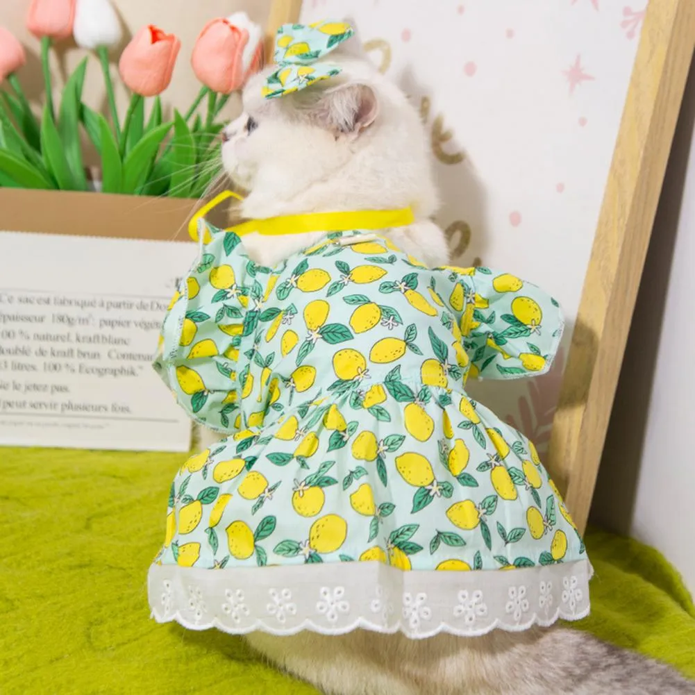 green emerald velvet dress Jade Cat Dress main image 1