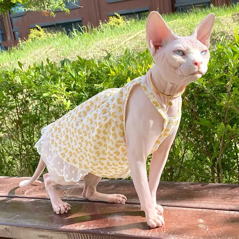 Summer Lace Dress: Breathable Vest Skirt Outfit for Sphynx Cats