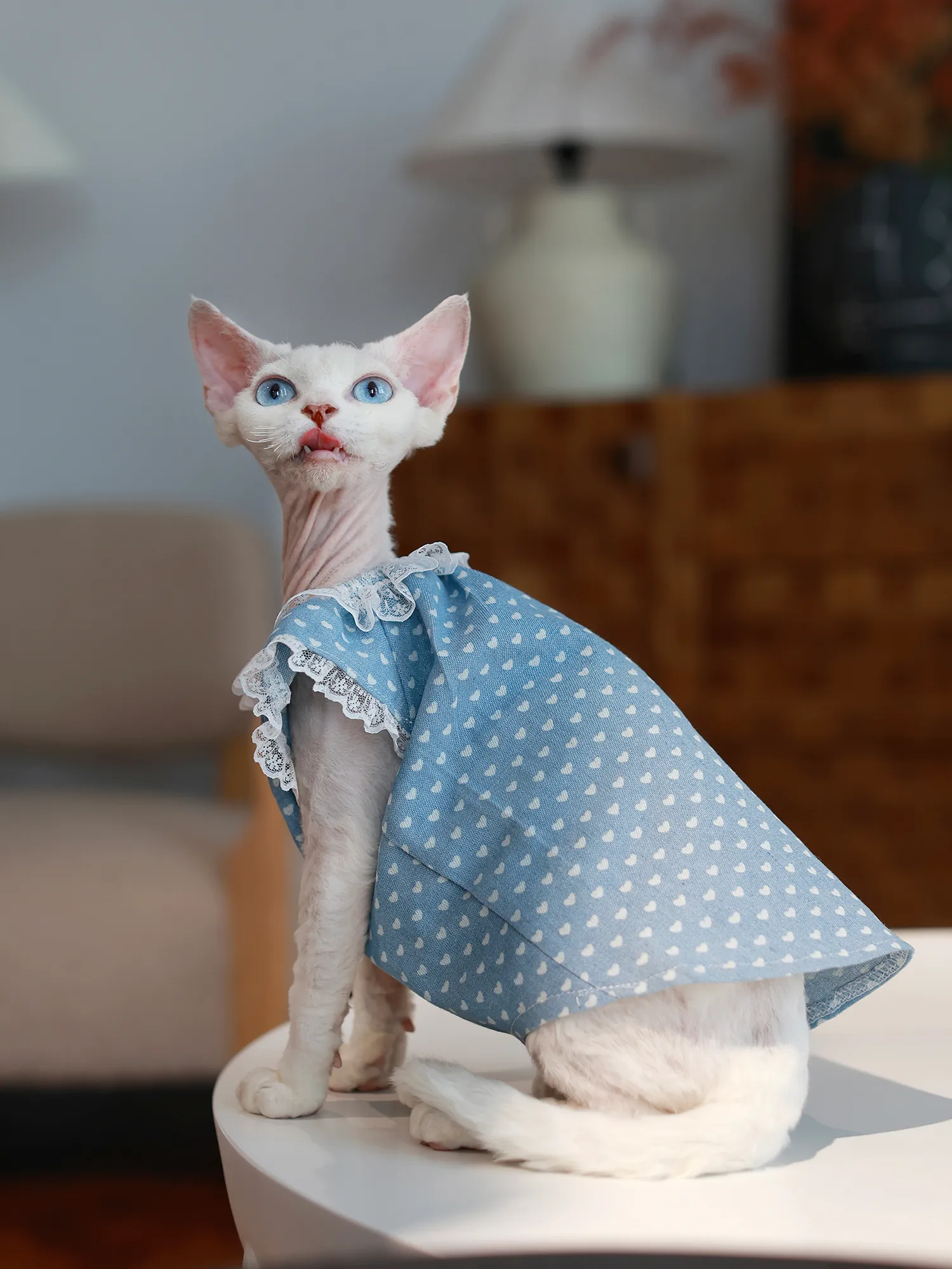 blue cat dress Cotton Soft Polka Dot for Sphynx Sleeveless Skirt Cat Clothes for Female Cats from Dhgate Cat Shirts & Dresses Wedding dress Size:B Short styleattribute-maternity Sky Blue Blue Dress Short sleeve