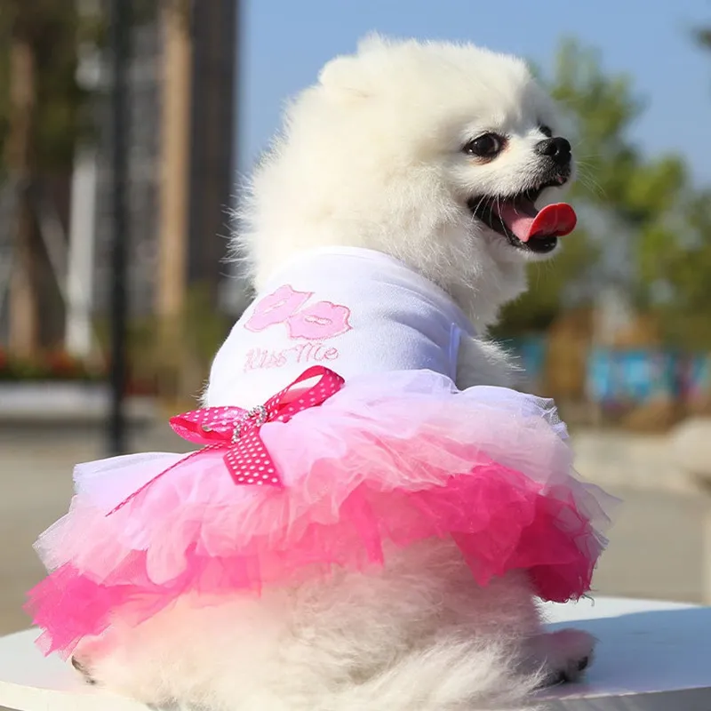 Floral Lace Dog Wedding Dress, Cotton Pet Dress with Large Bowknot for Small Medium Dogs from Dhgate Dog Dresses - price 15.57 Floral Lace Dog Wedding Dress, Cotton Pet Dress with Large Bowknot for Small Medium Dogs from Dhgate Dog Dresses - price 15.57