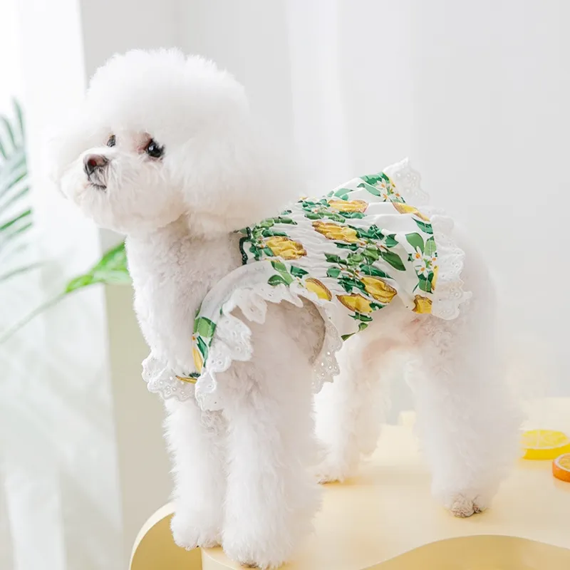 Dog Clothes Summer Puppy Dress Fruit Print Lace Vest Skirt For Chihuahua Bichon Yorkie Lightweight Dog Clothing From Dh1102081463, $18.84 | DHgate.Com Dog Clothes Summer Puppy Dress Fruit Print Lace Vest Skirt For Chihuahua Bichon Yorkie Lightweight Dog Clothing From Dh1102081463, $18.84 | DHgate.Com