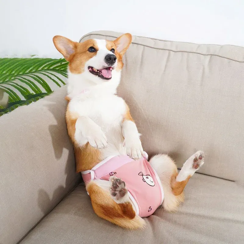 Dog French Bull Convertible Backpack Diaper Bag Diaper Bags: Buy