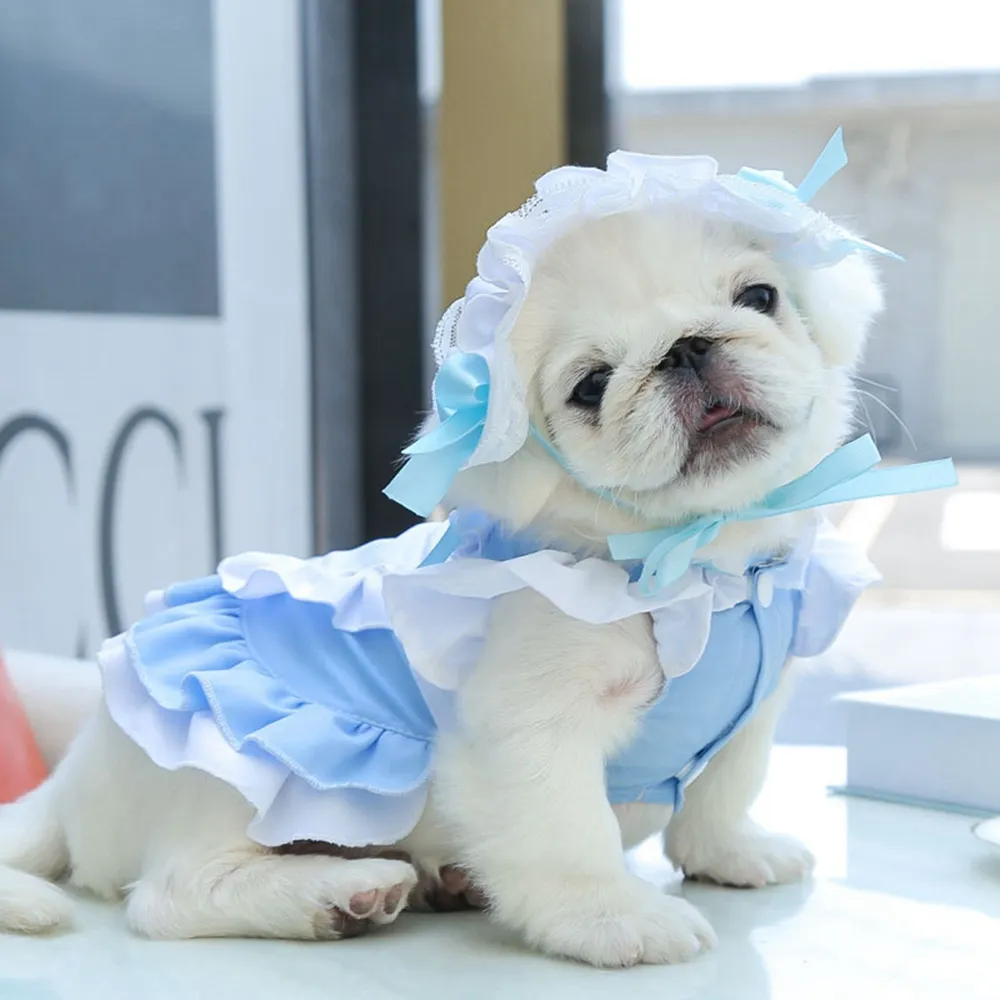 Dog Sundress Cute Pet Dress, Adorable Dog Clothes for Small to Medium Breeds, Lightweight Dog Girls Skirt with Secure D-Ring - Pink & Blue Dog Sundress Cute Pet Dress, Adorable Dog Clothes for Small to Medium Breeds, Lightweight Dog Girls Skirt with Secure D-Ring - Pink & Blue