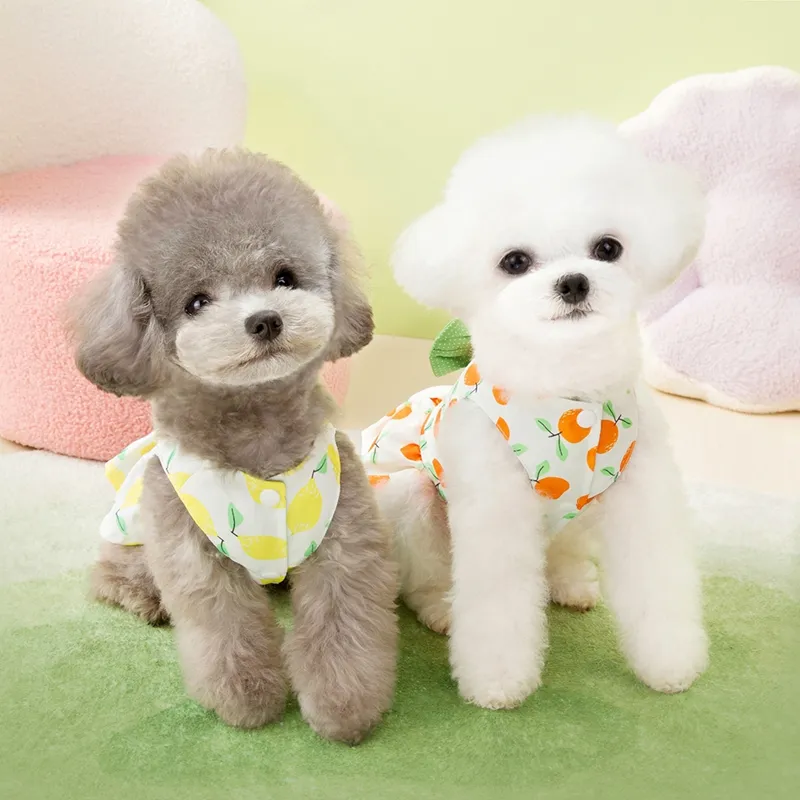 summer dress dog fashion Watermelon Dog Dress with Matching Leash-Spring Summer Dog Dress-Ribbon  Trim With Bow-XS to XL-3 to 30 lbs-godoggiestyle main image 1