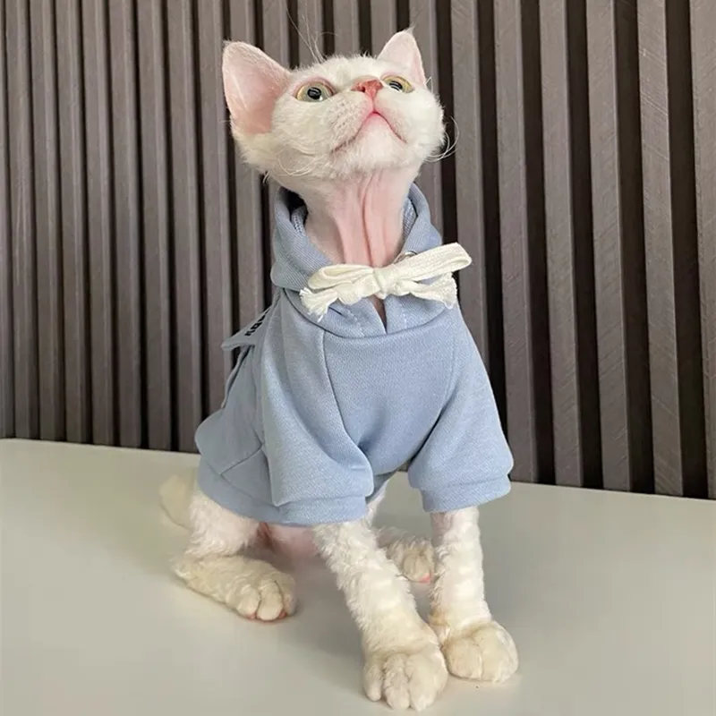 Kittens in hoodies hotsell