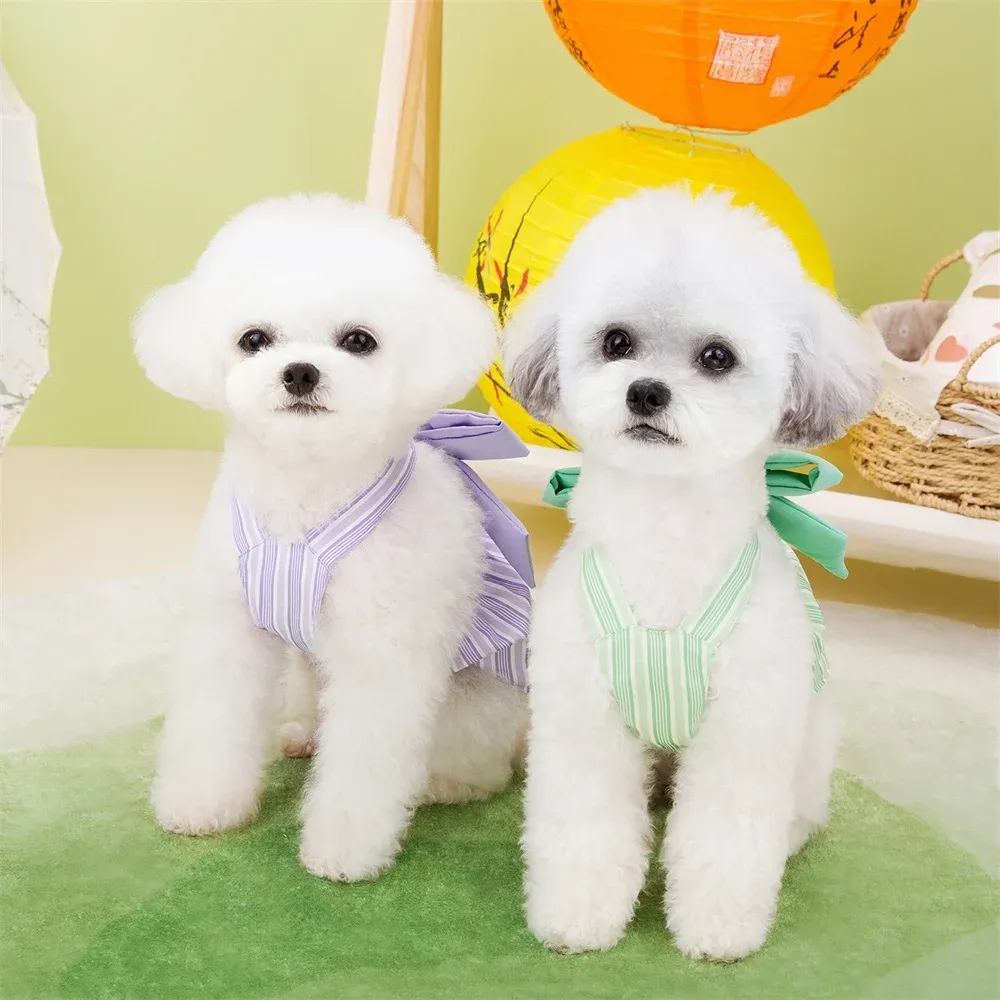 green emerald velvet dress White Sunflower Dog Dress