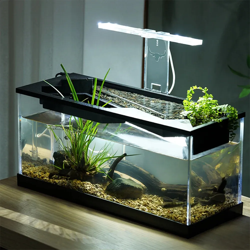 Betta Aquarium,Transparent Fish Aquarium Desktop | Small Betta Fish