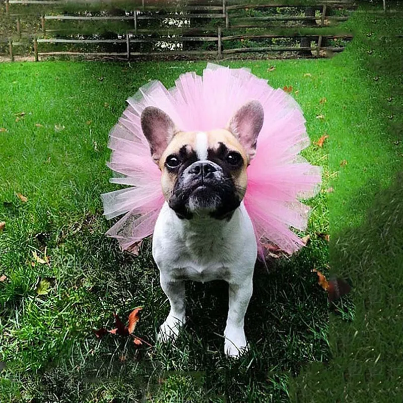 Dress For A Dog Tulle Ballerina Skirt: Dog Birthday... From Dh5009050, $14.59 | DHgate.Com Dress For A Dog Tulle Ballerina Skirt: Dog Birthday... From Dh5009050, $14.59 | DHgate.Com