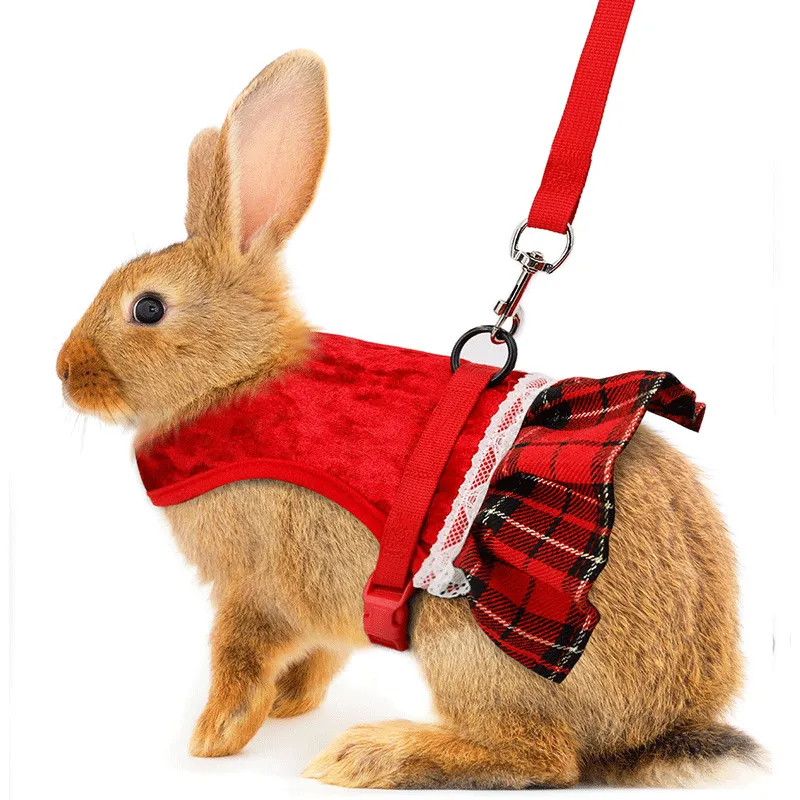 Cute Rabbit Chest Harness with Leash & Skirt - Adjustable Pet Vest for ...